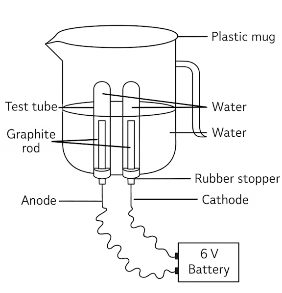 electrolysis setup 