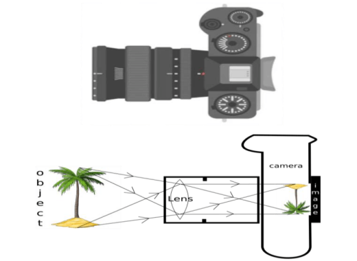 Schematic diagram of image formation